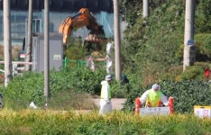 [르포]“감염 경로도 모르는 데 백신조차 없어”…초비상 연천 돼지농가, 유일한 대책은 ‘봉쇄’