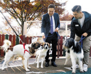 代 이은 희귀종 삽살개, 복제견 자연 번식 성공