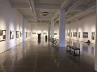 발달장애인들의 사진전 ‘동행(同行)’...10일부터 5일간 봉산문화회관에서