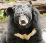 쉿! 지리산에서 겨울잠 자고있어요