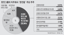 반도건설 한진칼 경영 참여… 경영권 분쟁 복병됐다