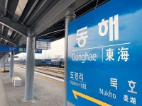 KTX로 정동진, 세종수목원·김포 항공박물관… 2020 새 여행지를 보라