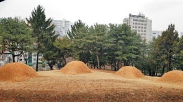 김재규의 불행은 사육신묘에서 시작?