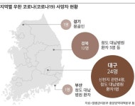 [속보] 경북서 우한 코로나 추가 사망자 3명 발생…국내 38명으로 늘어