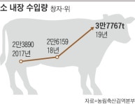 너도나도 화사처럼 먹방했는데… 한우 곱창, 왜 창고에 쌓여 울고 있니?