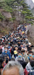 중국 코로나 벌써 잊었나? 황산에 2만명, 재확산 우려