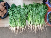 [공복 김선생] 엄마가 기억해낸 외할머니의 열무볶음