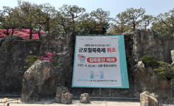 [C컷]흐드러진 군포철쭉동산,사진으로 감상하세요