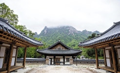 [아무튼, 주말] 거리두기 여행의 원조 템플스테이… 예불 대신 숲길 산책하며 깊은 산 속 나만의 시간