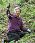 산양蔘 부자 마을 함양, 엑스포 대박 꿈꾼다
