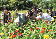 경북 청송에 9월이 오면 국내 최대 백일홍 화원 활짝