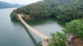 장성호 수변길 명물 황금빛 출렁다리 오늘 개통…제2 출렁다리