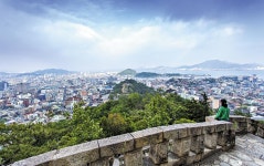 송가인의 진도, 임영웅의 포천, 목포 남진야시장까지… 팔도 트로트 여행 가볼까