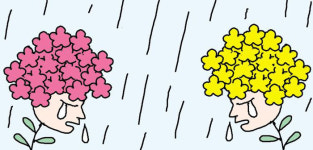 [일사일언] 수국도 눈물을 흘린다