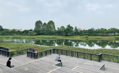 [아무튼, 주말] 불 앞에서 멍 때리는 불멍처럼… 숲멍·물멍·바람멍 조용한 충전