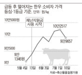 재난지원금 약발 끝, 한우값 꺾였다