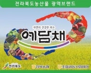 2020 소비자가 뽑은 올해의 브랜드대상 (1)