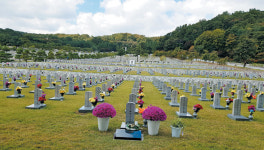 [김두규의 國運風水] 6·25 유공자는 현충원에, 독립운동가는 효창원에 墓를 쓰자