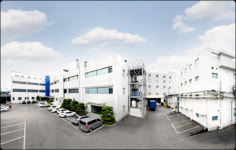 2200% 급등한 황제주가 순식간에 불개미 지옥으로, 왜?