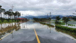 4㎞ 도로변 곡성 섬진강 마을, 성인 키 높이로 잠겼다