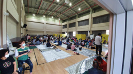 [현장] 지붕위로 도망간 소, 섬진강은 지금 망연자실