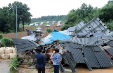산이 우르르 끓더니, 태양광 패널이 민가를 덮쳐왔다