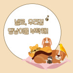 넬로, 우리집 댕냥이를 부탁해!