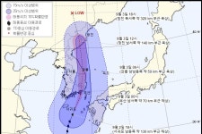 초속 50m 돌풍 제주 1만 가구 정전, 도로 곳곳 침수