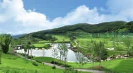 [왕개미 연구소] 홀당 77억! 강남 아파트 뺨치는 골프장 몸값