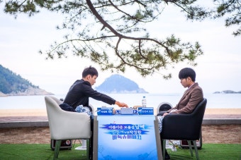 신진서, 박정환 상대로 연일 승률 쌓기