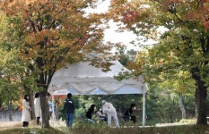 자가격리 등 5명 코로나 확진, 대전 428명째