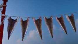 [김준의 맛과 섬] [38] 서해와 남해의 만남, 양태미역국