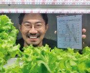 “여기는 중동, 한국서 온 스마트팜이 우릴 먹여살리고 있다”