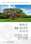 [민학수의 All That Golf]龍松 꿈틀대는 서울·한양CC... 소나무 사진전 개최
