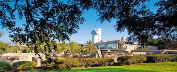 [홍익희의 新유대인 이야기] [1] “티쿤 올람”… 유대인의 믿음, 팬데믹마다 백신 열매 맺었다