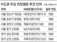 규제 심한 재건축 대신 리모델링 붐… 집값도 껑충
