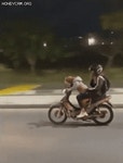 오빠 달려! 아니, 개야 달려… 이 영상 조작이 아니었다