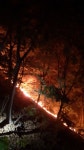 충주 계명산 산불… 실화 추정, 50대 조사