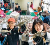 30년만의 풍어, 진도 앞바다는 ‘물 반 꽃게 반’