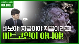 답답한 증시, 박스권 돌파할 것이라 주목받는 의외의 업종