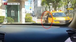 유치원車 타고 버스차로 달렸다, 與소속 서울시 부의장의 출근