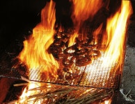 [공복 김선생] 장어 구이만 드셨다고요? 탕·회·샤부샤부도 드셔봐요