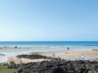 [아무튼, 주말] 돌담 너머 흐드러진 ‘6월의 수국’ 보러 종달리로 갔다… 걸어도 걸어도 좋았다