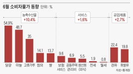 6월 소비자 물가 2.4% 올라, 3개월 연속 2%대 상승률