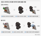 델타 변이, 바이러스 양 1200배 많다… 급속 확산 이유 있었네