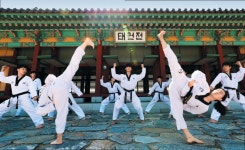 백운산 자락 ‘태권 聖地’… 국제 태권도 사관학교 만든다