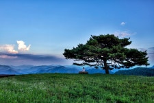 클래식 선율 닮은 해발 700m 고원… 청옥산 풍경이 안단테로 흘렀다