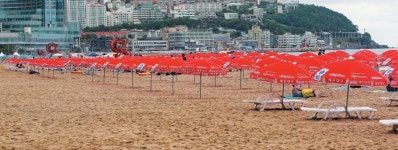 “한철 장사 해수욕장, 문닫으라니 피눈물”