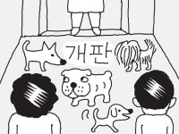 엘리베이터에 개 네마리… 내가 봐도 개판이었다