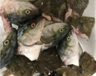 “매운탕거리 준다더니 대가리만 20인분”… 반응 갈린 횟집 리뷰